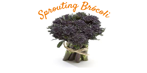 Sprouting Brocoli 600x300