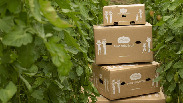 Puede soportar construir Ánimo Packaging sostenible: Las cajas de cartón reciclado - Disfruta & Verdura