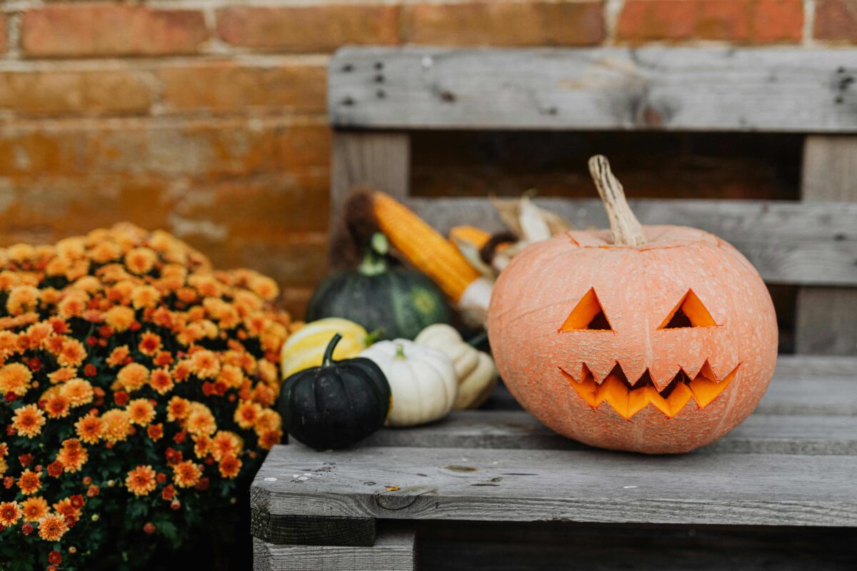 calabazas en halloween