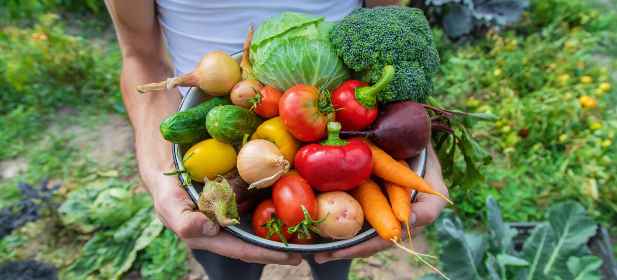 Frutas y verduras de temporada para fortalecer tus defensas