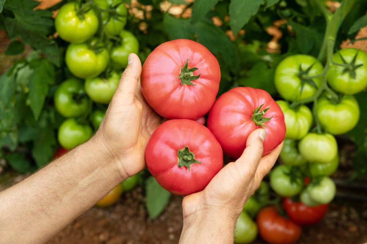 Cómo cuidar tu salud física y mental con fruta y verdura de temporada